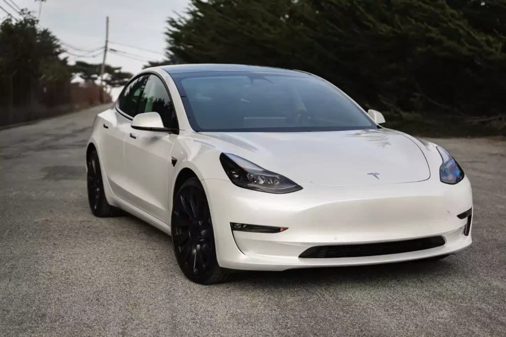 dog back seat cover for Tesla Model 3