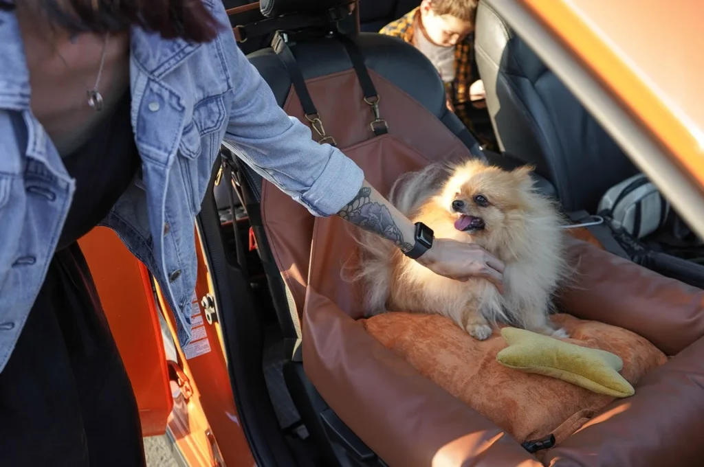 Nissan Altima Dog Car Seat for Pomeranians