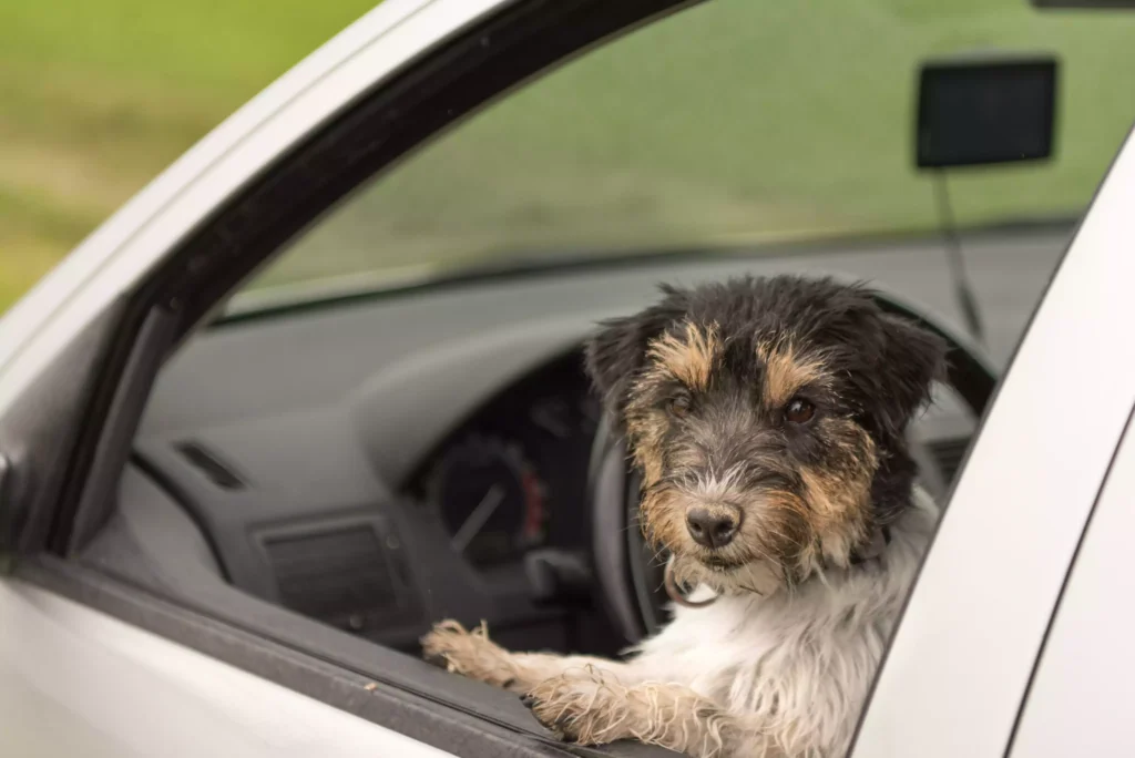 dog back seat cover for Nissan Sentra