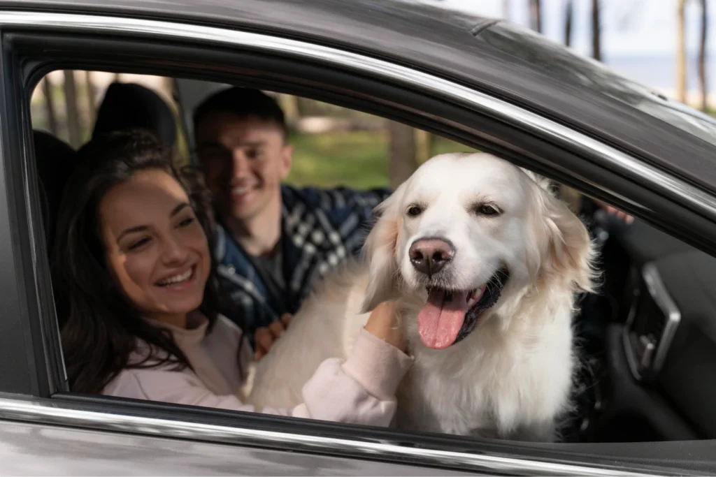 Pet Seat Cover for Chevrolet Suburban